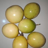 buah markisa 1kg