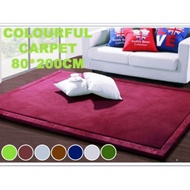 [WM FREESHIPPING] Colourful Carpet 80cm * 200cm