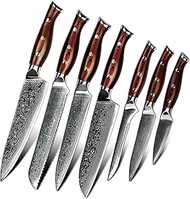 Kitchen Knives Knife Set Dishwasher Safe 67 Layers Damascus Steel VG-10 with Wood Resin Handle Strai