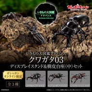 【預訂】BANDAI 生物大圖鑑定深山鍬形蟲大豔鍬甲甲蟲模型 全套扭蛋