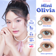 คอนแทคเลนส์ Mini Olivia Brown / Light Brown / Gray (Kitty Kawaii) ขนาดมินิ 🌷 ลายฮิต ขายดีมาก