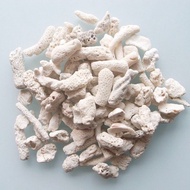 Coral Stone 20-50mm (1kg)