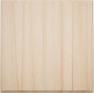 2 1/2"W x 2 1/2"H x 7/8"P Americraft Solid Hardwood Stain Grade Standard Smooth Rosette with Decorat