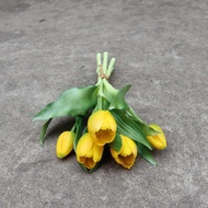 Simulation Flower Feel Short Branch 5 Heads Tulip Simulation Soft Gum Tulip Bouquet PE Latex Silicon