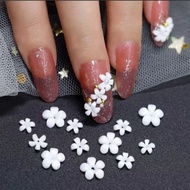 3D White Flower Resin 5 Petals Mixed sizes 3-8mm, 6mm, 7mm Nail Arts Decoration/