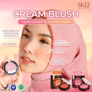 Perfect Cream Blush (Blush On)