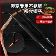 【3107人好评】爬虫昆虫蟋蟀杜比亚蟑螂摄子夹粪便爬宠蜥蜴蜘蛛喂食直头弯头镊子【 3107 positive reviews 】 Reptiles, insects, crickets fenyiqu