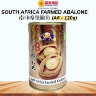 [Abalone] South Africa Farmed Abalone 425g (6 Pieces, Drained Weight 120g)