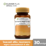 Clover Hebs By Clover Plus โคลเวอร์เฮิร์บ อาหารเสริม สมุนไพร สารสกัดจากกระชายขาว พลูคาว โสม กระเทียม ช่วยดูแลสุขภาพ (30 แคปซูล) (อาหารเสริม)