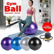 Gym Ball Ball 65CM/75CM yoga Ball Sports Equipment Pilates Fitness (Pump Bonus)