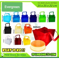 Spunbond HLS Cloth Bag Rice Box 25x25 / Goodiebag Cloth Bag