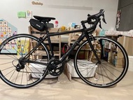 Cannondale碳架公路車 全車走 (送水架，前燈)
