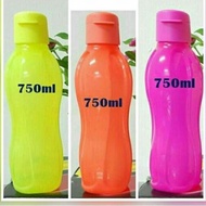 Neon Eco Bottle Flip Top Tupperware