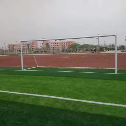 Standard Movable Steel Soccer Goal Metal Football Goal for 7 Person