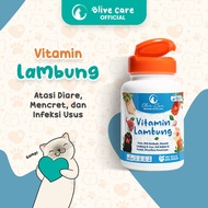 Olive Care Vitamin Kucing MASALAH PENCERNAAN untuk Diare Mencret Pup Berdarah dan Radang Usus