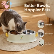 Cactus Raised Cat Food Bowl Stainless Steel Insert Detachable Anti Slip Pet Water Bowl Set
