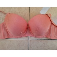 NEW SORELLA WIRED BRA
