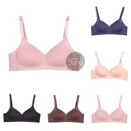 Scale | Size 36C-42C | 1291. Wireless Bra | Medium Foam