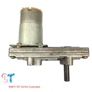 12VDC 45RPM Motor