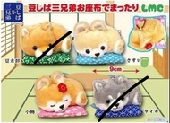 [$80@2] 豆柴三兄弟 柴犬捲睡坐墊毛公仔掛飾掛件吊飾 shiba 日版 AMUSE 景品精品現貨