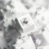 [SG Stocks] WS Morandi Linear Switches for Mechanical Keyboards