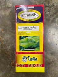 1 ลัง อะบาเมกติน SOtus (Abamectin) (12x1ลิตร) มีประสิทธิภาพสูงในการป้องกันกำจัดเพลี้ยไฟ หนอนชอนใบ แล