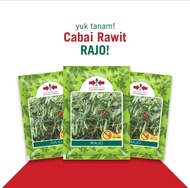 Benih cabe rawit unggul RAJO isi 2.250 butir lokal rajo