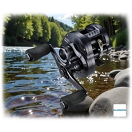 SHIMANO 24 Calcutta Conquest Shallow Edition Baitcasting Reel (31HG & 30HG)