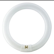 TL T8 Ring Philips 22 Watt