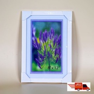 *FAST SHIP*Photo Frame 8x12(8RW saiz) white berkualiti
