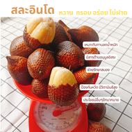 สละอินโดแท้พันธุ์สายน้ำผึ้ง หอมหวาน กรอบ อร่อย ละมุนลิ้น เจ้าของสวนขายเอง ของดี ของฝาก จังหวัดนครศรี