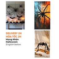 Fake Spider Size 35-120cm Black Orange, Spider Web Halloween Decoration Black and White 3m Fake Spid