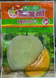 Benih Rock Melon Hibrid MERLIN F1 Bintang Asia (20gm)