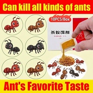 【Latest R&D by scientific institutions】GN Ant killer Ant poison Ant killer bait Kill various ants, 1