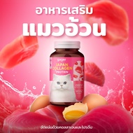 Gager (กาเจอร์) อาหารเสริมแมวอ้วน ผงคอลลาเจนแมว ผงคอลลาเจนแมวอ้วน ผงโปรตีนเสริมสร้างกล้ามเนื้อทำให้อ