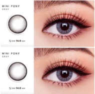 Pony gray Pony brown บิ๊กอายราคาถูกที่สุดคอนแทคเลนส์พร้อมส่ง