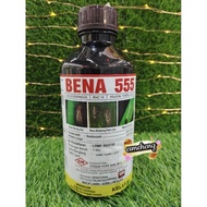 1L Bena 555 / Bena Hijau / Bena Perang / Pianggang / Belalang / Lelompat Daun / Kutu Beruang