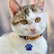 Petjah Nama Kucing Custom Kalung Custom Kucing Lucu