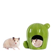 Tempat Persembunyian untuk Hamster, Aksesori Cangkerang, Rumah Hamster Emas Porselin, Sarang Penyeju