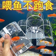 Feeder Transparent Wall-Mounted Feeding Tube Small Feeding Tube Acrylic Fish Feeding Feeder Pigeon F