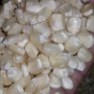 Jagung Putih Pipil Kering 500 Gram