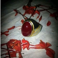 M4k0t4 R-J4-P4S00P4T11 MHG RING