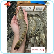 HOT SALE Tiger Prawn 812pcs (1kg) 老虎虾 Sung Tao Frozen Seafood Udang Harimau