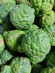 jeruk purut 1 kg