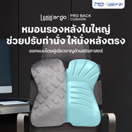 Lunio Ergo เบาะรองหลัง ใบใหญ่รองรับเต็มแผ่นหลัง ช่วยปรับท่านั่งให้หลังตรง ลดอาการออฟฟิศซินโดรม รุ่น 