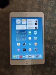 Apple iPad mini 5 WiFi+Cellular 256GB 很新淨