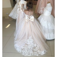 Children's Puffy Princess Dress Girl Flower Girl Wedding Dress Little Girl Tail Lace Dress E920