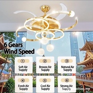【In stock】[Starry Sky Fan Light] Ceiling Fan Light/LED Fan Light/Living Room Fan Light/Bedroom Fan L