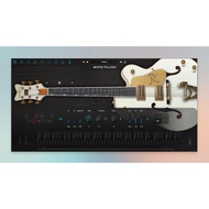 Ample Sound Ample Guitar WF | Mac Silicone | Mac VST Extensions | Plugin