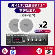 Ceiling-Mounted Speaker Set for Living Room, Home, Store, Background Music Amplifier Set, Conference